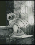 Contemplation (image for) Contemplation